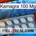 Kamagra100 Mg 34